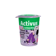 Ovăz cu Mix de Fructe de Pădure 60g Activus Auga