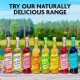 Sirop (Cordial) de Zmeura si Lamaie 500ml Belvoir