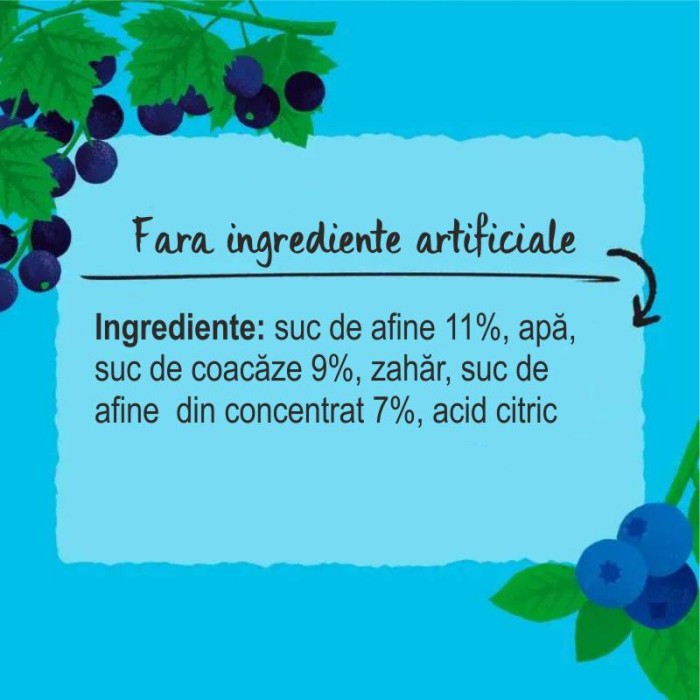 Sirop (Cordial) cu Afine și Coacăze Negre 500ml Belvoir